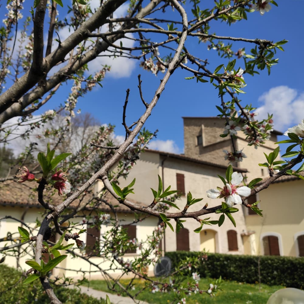 appartamenti_santa_croce_2021_giardini_web